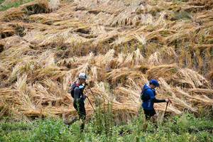 BIB: 
                            <button type="button" onclick="openModal(13501055)" class="btn btn-primary btn-sm float-right btn-popup" data-toggle="modal" data-target=".modal-high-quality">
                        <i class="fas fa-shopping-cart"></i> Add to Cart
                    </button>
                                            <button type="button" onclick="isThisMe(13501055, true)" class="btn btn-success btn-sm float-right btn-popup btn-isme hidden" data-toggle="tooltip" data-placement="bottom" title="นี่คือรูปของคุณใช่ไหม คลิกที่นี่เพื่อเอาเข้าอัลบั้ม">
                        <i class="fas fa-plus"></i> Add to album
                    </button>
                    <button type="button" onclick="isThisMe(13501055, false)" class="btn btn-warning btn-sm float-right btn-popup btn-isnotme hidden">
                        <i class="fas fa-ban"></i> Remove from album
                    </button>