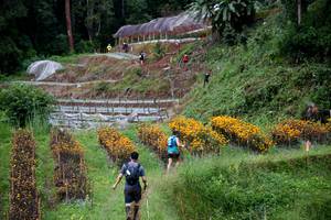 BIB: 
                            <button type="button" onclick="openModal(13500890)" class="btn btn-primary btn-sm float-right btn-popup" data-toggle="modal" data-target=".modal-high-quality">
                        <i class="fas fa-shopping-cart"></i> Add to Cart
                    </button>
                                            <button type="button" onclick="isThisMe(13500890, true)" class="btn btn-success btn-sm float-right btn-popup btn-isme hidden" data-toggle="tooltip" data-placement="bottom" title="นี่คือรูปของคุณใช่ไหม คลิกที่นี่เพื่อเอาเข้าอัลบั้ม">
                        <i class="fas fa-plus"></i> Add to album
                    </button>
                    <button type="button" onclick="isThisMe(13500890, false)" class="btn btn-warning btn-sm float-right btn-popup btn-isnotme hidden">
                        <i class="fas fa-ban"></i> Remove from album
                    </button>