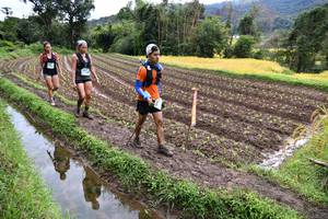 BIB: 
                            <button type="button" onclick="openModal(13501048)" class="btn btn-primary btn-sm float-right btn-popup" data-toggle="modal" data-target=".modal-high-quality">
                        <i class="fas fa-shopping-cart"></i> Add to Cart
                    </button>
                                            <button type="button" onclick="isThisMe(13501048, true)" class="btn btn-success btn-sm float-right btn-popup btn-isme hidden" data-toggle="tooltip" data-placement="bottom" title="นี่คือรูปของคุณใช่ไหม คลิกที่นี่เพื่อเอาเข้าอัลบั้ม">
                        <i class="fas fa-plus"></i> Add to album
                    </button>
                    <button type="button" onclick="isThisMe(13501048, false)" class="btn btn-warning btn-sm float-right btn-popup btn-isnotme hidden">
                        <i class="fas fa-ban"></i> Remove from album
                    </button>