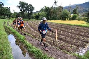 BIB: 
                            <button type="button" onclick="openModal(13501049)" class="btn btn-primary btn-sm float-right btn-popup" data-toggle="modal" data-target=".modal-high-quality">
                        <i class="fas fa-shopping-cart"></i> Add to Cart
                    </button>
                                            <button type="button" onclick="isThisMe(13501049, true)" class="btn btn-success btn-sm float-right btn-popup btn-isme hidden" data-toggle="tooltip" data-placement="bottom" title="นี่คือรูปของคุณใช่ไหม คลิกที่นี่เพื่อเอาเข้าอัลบั้ม">
                        <i class="fas fa-plus"></i> Add to album
                    </button>
                    <button type="button" onclick="isThisMe(13501049, false)" class="btn btn-warning btn-sm float-right btn-popup btn-isnotme hidden">
                        <i class="fas fa-ban"></i> Remove from album
                    </button>