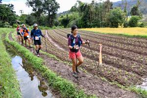 BIB: 
                            <button type="button" onclick="openModal(13501046)" class="btn btn-primary btn-sm float-right btn-popup" data-toggle="modal" data-target=".modal-high-quality">
                        <i class="fas fa-shopping-cart"></i> Add to Cart
                    </button>
                                            <button type="button" onclick="isThisMe(13501046, true)" class="btn btn-success btn-sm float-right btn-popup btn-isme hidden" data-toggle="tooltip" data-placement="bottom" title="นี่คือรูปของคุณใช่ไหม คลิกที่นี่เพื่อเอาเข้าอัลบั้ม">
                        <i class="fas fa-plus"></i> Add to album
                    </button>
                    <button type="button" onclick="isThisMe(13501046, false)" class="btn btn-warning btn-sm float-right btn-popup btn-isnotme hidden">
                        <i class="fas fa-ban"></i> Remove from album
                    </button>