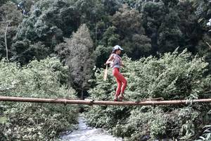 BIB: 
                            <button type="button" onclick="openModal(13500934)" class="btn btn-primary btn-sm float-right btn-popup" data-toggle="modal" data-target=".modal-high-quality">
                        <i class="fas fa-shopping-cart"></i> Add to Cart
                    </button>
                                            <button type="button" onclick="isThisMe(13500934, true)" class="btn btn-success btn-sm float-right btn-popup btn-isme hidden" data-toggle="tooltip" data-placement="bottom" title="นี่คือรูปของคุณใช่ไหม คลิกที่นี่เพื่อเอาเข้าอัลบั้ม">
                        <i class="fas fa-plus"></i> Add to album
                    </button>
                    <button type="button" onclick="isThisMe(13500934, false)" class="btn btn-warning btn-sm float-right btn-popup btn-isnotme hidden">
                        <i class="fas fa-ban"></i> Remove from album
                    </button>