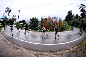 BIB: 
                            <button type="button" onclick="openModal(13500633)" class="btn btn-primary btn-sm float-right btn-popup" data-toggle="modal" data-target=".modal-high-quality">
                        <i class="fas fa-shopping-cart"></i> Add to Cart
                    </button>
                                            <button type="button" onclick="isThisMe(13500633, true)" class="btn btn-success btn-sm float-right btn-popup btn-isme hidden" data-toggle="tooltip" data-placement="bottom" title="นี่คือรูปของคุณใช่ไหม คลิกที่นี่เพื่อเอาเข้าอัลบั้ม">
                        <i class="fas fa-plus"></i> Add to album
                    </button>
                    <button type="button" onclick="isThisMe(13500633, false)" class="btn btn-warning btn-sm float-right btn-popup btn-isnotme hidden">
                        <i class="fas fa-ban"></i> Remove from album
                    </button>