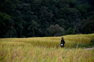 BIB: 
                            <button type="button" onclick="openModal(13500773)" class="btn btn-primary btn-sm float-right btn-popup" data-toggle="modal" data-target=".modal-high-quality">
                        <i class="fas fa-shopping-cart"></i> Add to Cart
                    </button>
                                            <button type="button" onclick="isThisMe(13500773, true)" class="btn btn-success btn-sm float-right btn-popup btn-isme hidden" data-toggle="tooltip" data-placement="bottom" title="นี่คือรูปของคุณใช่ไหม คลิกที่นี่เพื่อเอาเข้าอัลบั้ม">
                        <i class="fas fa-plus"></i> Add to album
                    </button>
                    <button type="button" onclick="isThisMe(13500773, false)" class="btn btn-warning btn-sm float-right btn-popup btn-isnotme hidden">
                        <i class="fas fa-ban"></i> Remove from album
                    </button>