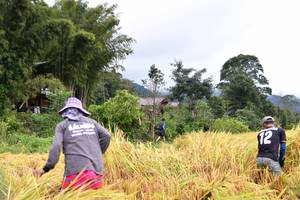 BIB: 
                            <button type="button" onclick="openModal(13500988)" class="btn btn-primary btn-sm float-right btn-popup" data-toggle="modal" data-target=".modal-high-quality">
                        <i class="fas fa-shopping-cart"></i> Add to Cart
                    </button>
                                            <button type="button" onclick="isThisMe(13500988, true)" class="btn btn-success btn-sm float-right btn-popup btn-isme hidden" data-toggle="tooltip" data-placement="bottom" title="นี่คือรูปของคุณใช่ไหม คลิกที่นี่เพื่อเอาเข้าอัลบั้ม">
                        <i class="fas fa-plus"></i> Add to album
                    </button>
                    <button type="button" onclick="isThisMe(13500988, false)" class="btn btn-warning btn-sm float-right btn-popup btn-isnotme hidden">
                        <i class="fas fa-ban"></i> Remove from album
                    </button>