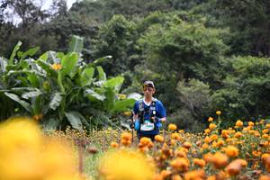 BIB: 252
                            <button type="button" onclick="openModal(13500904)" class="btn btn-primary btn-sm float-right btn-popup" data-toggle="modal" data-target=".modal-high-quality">
                        <i class="fas fa-shopping-cart"></i> Add to Cart
                    </button>
                                            <button type="button" onclick="isThisMe(13500904, true)" class="btn btn-success btn-sm float-right btn-popup btn-isme hidden" data-toggle="tooltip" data-placement="bottom" title="นี่คือรูปของคุณใช่ไหม คลิกที่นี่เพื่อเอาเข้าอัลบั้ม">
                        <i class="fas fa-plus"></i> Add to album
                    </button>
                    <button type="button" onclick="isThisMe(13500904, false)" class="btn btn-warning btn-sm float-right btn-popup btn-isnotme hidden">
                        <i class="fas fa-ban"></i> Remove from album
                    </button>