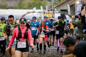 BIB: 8191
                            <button type="button" onclick="openModal(13503620)" class="btn btn-primary btn-sm float-right btn-popup" data-toggle="modal" data-target=".modal-high-quality">
                        <i class="fas fa-shopping-cart"></i> Add to Cart
                    </button>
                                            <button type="button" onclick="isThisMe(13503620, true)" class="btn btn-success btn-sm float-right btn-popup btn-isme hidden" data-toggle="tooltip" data-placement="bottom" title="นี่คือรูปของคุณใช่ไหม คลิกที่นี่เพื่อเอาเข้าอัลบั้ม">
                        <i class="fas fa-plus"></i> Add to album
                    </button>
                    <button type="button" onclick="isThisMe(13503620, false)" class="btn btn-warning btn-sm float-right btn-popup btn-isnotme hidden">
                        <i class="fas fa-ban"></i> Remove from album
                    </button>