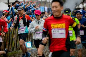 BIB: 8134, 115, 8098
                            <button type="button" onclick="openModal(13503612)" class="btn btn-primary btn-sm float-right btn-popup" data-toggle="modal" data-target=".modal-high-quality">
                        <i class="fas fa-shopping-cart"></i> Add to Cart
                    </button>
                                            <button type="button" onclick="isThisMe(13503612, true)" class="btn btn-success btn-sm float-right btn-popup btn-isme hidden" data-toggle="tooltip" data-placement="bottom" title="นี่คือรูปของคุณใช่ไหม คลิกที่นี่เพื่อเอาเข้าอัลบั้ม">
                        <i class="fas fa-plus"></i> Add to album
                    </button>
                    <button type="button" onclick="isThisMe(13503612, false)" class="btn btn-warning btn-sm float-right btn-popup btn-isnotme hidden">
                        <i class="fas fa-ban"></i> Remove from album
                    </button>