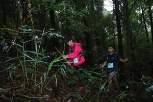 BIB: 
                            <button type="button" onclick="openModal(13412035)" class="btn btn-primary btn-sm float-right btn-popup" data-toggle="modal" data-target=".modal-high-quality">
                        <i class="fas fa-shopping-cart"></i> Add to Cart
                    </button>
                                            <button type="button" onclick="isThisMe(13412035, true)" class="btn btn-success btn-sm float-right btn-popup btn-isme hidden" data-toggle="tooltip" data-placement="bottom" title="นี่คือรูปของคุณใช่ไหม คลิกที่นี่เพื่อเอาเข้าอัลบั้ม">
                        <i class="fas fa-plus"></i> Add to album
                    </button>
                    <button type="button" onclick="isThisMe(13412035, false)" class="btn btn-warning btn-sm float-right btn-popup btn-isnotme hidden">
                        <i class="fas fa-ban"></i> Remove from album
                    </button>