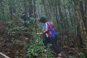 BIB: 
                            <button type="button" onclick="openModal(13411987)" class="btn btn-primary btn-sm float-right btn-popup" data-toggle="modal" data-target=".modal-high-quality">
                        <i class="fas fa-shopping-cart"></i> Add to Cart
                    </button>
                                            <button type="button" onclick="isThisMe(13411987, true)" class="btn btn-success btn-sm float-right btn-popup btn-isme hidden" data-toggle="tooltip" data-placement="bottom" title="นี่คือรูปของคุณใช่ไหม คลิกที่นี่เพื่อเอาเข้าอัลบั้ม">
                        <i class="fas fa-plus"></i> Add to album
                    </button>
                    <button type="button" onclick="isThisMe(13411987, false)" class="btn btn-warning btn-sm float-right btn-popup btn-isnotme hidden">
                        <i class="fas fa-ban"></i> Remove from album
                    </button>