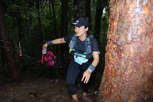 BIB: 
                            <button type="button" onclick="openModal(13411495)" class="btn btn-primary btn-sm float-right btn-popup" data-toggle="modal" data-target=".modal-high-quality">
                        <i class="fas fa-shopping-cart"></i> Add to Cart
                    </button>
                                            <button type="button" onclick="isThisMe(13411495, true)" class="btn btn-success btn-sm float-right btn-popup btn-isme hidden" data-toggle="tooltip" data-placement="bottom" title="นี่คือรูปของคุณใช่ไหม คลิกที่นี่เพื่อเอาเข้าอัลบั้ม">
                        <i class="fas fa-plus"></i> Add to album
                    </button>
                    <button type="button" onclick="isThisMe(13411495, false)" class="btn btn-warning btn-sm float-right btn-popup btn-isnotme hidden">
                        <i class="fas fa-ban"></i> Remove from album
                    </button>