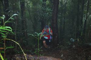 BIB: 
                            <button type="button" onclick="openModal(13411715)" class="btn btn-primary btn-sm float-right btn-popup" data-toggle="modal" data-target=".modal-high-quality">
                        <i class="fas fa-shopping-cart"></i> Add to Cart
                    </button>
                                            <button type="button" onclick="isThisMe(13411715, true)" class="btn btn-success btn-sm float-right btn-popup btn-isme hidden" data-toggle="tooltip" data-placement="bottom" title="นี่คือรูปของคุณใช่ไหม คลิกที่นี่เพื่อเอาเข้าอัลบั้ม">
                        <i class="fas fa-plus"></i> Add to album
                    </button>
                    <button type="button" onclick="isThisMe(13411715, false)" class="btn btn-warning btn-sm float-right btn-popup btn-isnotme hidden">
                        <i class="fas fa-ban"></i> Remove from album
                    </button>