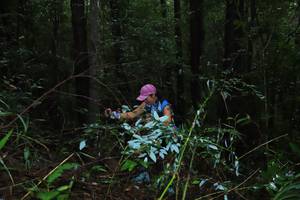 BIB: 
                            <button type="button" onclick="openModal(13411467)" class="btn btn-primary btn-sm float-right btn-popup" data-toggle="modal" data-target=".modal-high-quality">
                        <i class="fas fa-shopping-cart"></i> Add to Cart
                    </button>
                                            <button type="button" onclick="isThisMe(13411467, true)" class="btn btn-success btn-sm float-right btn-popup btn-isme hidden" data-toggle="tooltip" data-placement="bottom" title="นี่คือรูปของคุณใช่ไหม คลิกที่นี่เพื่อเอาเข้าอัลบั้ม">
                        <i class="fas fa-plus"></i> Add to album
                    </button>
                    <button type="button" onclick="isThisMe(13411467, false)" class="btn btn-warning btn-sm float-right btn-popup btn-isnotme hidden">
                        <i class="fas fa-ban"></i> Remove from album
                    </button>