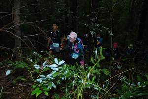 BIB: 
                            <button type="button" onclick="openModal(13411353)" class="btn btn-primary btn-sm float-right btn-popup" data-toggle="modal" data-target=".modal-high-quality">
                        <i class="fas fa-shopping-cart"></i> Add to Cart
                    </button>
                                            <button type="button" onclick="isThisMe(13411353, true)" class="btn btn-success btn-sm float-right btn-popup btn-isme hidden" data-toggle="tooltip" data-placement="bottom" title="นี่คือรูปของคุณใช่ไหม คลิกที่นี่เพื่อเอาเข้าอัลบั้ม">
                        <i class="fas fa-plus"></i> Add to album
                    </button>
                    <button type="button" onclick="isThisMe(13411353, false)" class="btn btn-warning btn-sm float-right btn-popup btn-isnotme hidden">
                        <i class="fas fa-ban"></i> Remove from album
                    </button>