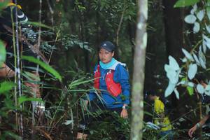 BIB: 
                            <button type="button" onclick="openModal(13411675)" class="btn btn-primary btn-sm float-right btn-popup" data-toggle="modal" data-target=".modal-high-quality">
                        <i class="fas fa-shopping-cart"></i> Add to Cart
                    </button>
                                            <button type="button" onclick="isThisMe(13411675, true)" class="btn btn-success btn-sm float-right btn-popup btn-isme hidden" data-toggle="tooltip" data-placement="bottom" title="นี่คือรูปของคุณใช่ไหม คลิกที่นี่เพื่อเอาเข้าอัลบั้ม">
                        <i class="fas fa-plus"></i> Add to album
                    </button>
                    <button type="button" onclick="isThisMe(13411675, false)" class="btn btn-warning btn-sm float-right btn-popup btn-isnotme hidden">
                        <i class="fas fa-ban"></i> Remove from album
                    </button>