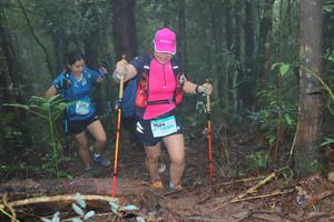 BIB: 1215, 1024
                            <button type="button" onclick="openModal(13412095)" class="btn btn-primary btn-sm float-right btn-popup" data-toggle="modal" data-target=".modal-high-quality">
                        <i class="fas fa-shopping-cart"></i> Add to Cart
                    </button>
                                            <button type="button" onclick="isThisMe(13412095, true)" class="btn btn-success btn-sm float-right btn-popup btn-isme hidden" data-toggle="tooltip" data-placement="bottom" title="นี่คือรูปของคุณใช่ไหม คลิกที่นี่เพื่อเอาเข้าอัลบั้ม">
                        <i class="fas fa-plus"></i> Add to album
                    </button>
                    <button type="button" onclick="isThisMe(13412095, false)" class="btn btn-warning btn-sm float-right btn-popup btn-isnotme hidden">
                        <i class="fas fa-ban"></i> Remove from album
                    </button>