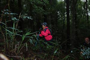 BIB: 
                            <button type="button" onclick="openModal(13411491)" class="btn btn-primary btn-sm float-right btn-popup" data-toggle="modal" data-target=".modal-high-quality">
                        <i class="fas fa-shopping-cart"></i> Add to Cart
                    </button>
                                            <button type="button" onclick="isThisMe(13411491, true)" class="btn btn-success btn-sm float-right btn-popup btn-isme hidden" data-toggle="tooltip" data-placement="bottom" title="นี่คือรูปของคุณใช่ไหม คลิกที่นี่เพื่อเอาเข้าอัลบั้ม">
                        <i class="fas fa-plus"></i> Add to album
                    </button>
                    <button type="button" onclick="isThisMe(13411491, false)" class="btn btn-warning btn-sm float-right btn-popup btn-isnotme hidden">
                        <i class="fas fa-ban"></i> Remove from album
                    </button>