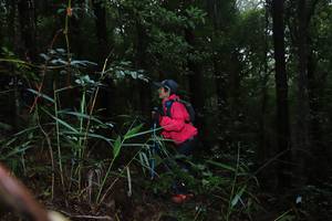 BIB: 
                            <button type="button" onclick="openModal(13411576)" class="btn btn-primary btn-sm float-right btn-popup" data-toggle="modal" data-target=".modal-high-quality">
                        <i class="fas fa-shopping-cart"></i> Add to Cart
                    </button>
                                            <button type="button" onclick="isThisMe(13411576, true)" class="btn btn-success btn-sm float-right btn-popup btn-isme hidden" data-toggle="tooltip" data-placement="bottom" title="นี่คือรูปของคุณใช่ไหม คลิกที่นี่เพื่อเอาเข้าอัลบั้ม">
                        <i class="fas fa-plus"></i> Add to album
                    </button>
                    <button type="button" onclick="isThisMe(13411576, false)" class="btn btn-warning btn-sm float-right btn-popup btn-isnotme hidden">
                        <i class="fas fa-ban"></i> Remove from album
                    </button>