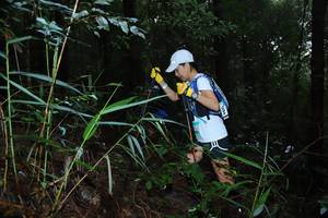 BIB: 
                            <button type="button" onclick="openModal(13411743)" class="btn btn-primary btn-sm float-right btn-popup" data-toggle="modal" data-target=".modal-high-quality">
                        <i class="fas fa-shopping-cart"></i> Add to Cart
                    </button>
                                            <button type="button" onclick="isThisMe(13411743, true)" class="btn btn-success btn-sm float-right btn-popup btn-isme hidden" data-toggle="tooltip" data-placement="bottom" title="นี่คือรูปของคุณใช่ไหม คลิกที่นี่เพื่อเอาเข้าอัลบั้ม">
                        <i class="fas fa-plus"></i> Add to album
                    </button>
                    <button type="button" onclick="isThisMe(13411743, false)" class="btn btn-warning btn-sm float-right btn-popup btn-isnotme hidden">
                        <i class="fas fa-ban"></i> Remove from album
                    </button>