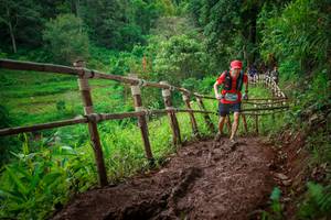 BIB: 
                            <button type="button" onclick="openModal(13482954)" class="btn btn-primary btn-sm float-right btn-popup" data-toggle="modal" data-target=".modal-high-quality">
                        <i class="fas fa-shopping-cart"></i> Add to Cart
                    </button>
                                            <button type="button" onclick="isThisMe(13482954, true)" class="btn btn-success btn-sm float-right btn-popup btn-isme hidden" data-toggle="tooltip" data-placement="bottom" title="นี่คือรูปของคุณใช่ไหม คลิกที่นี่เพื่อเอาเข้าอัลบั้ม">
                        <i class="fas fa-plus"></i> Add to album
                    </button>
                    <button type="button" onclick="isThisMe(13482954, false)" class="btn btn-warning btn-sm float-right btn-popup btn-isnotme hidden">
                        <i class="fas fa-ban"></i> Remove from album
                    </button>