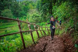 BIB: 
                            <button type="button" onclick="openModal(13483033)" class="btn btn-primary btn-sm float-right btn-popup" data-toggle="modal" data-target=".modal-high-quality">
                        <i class="fas fa-shopping-cart"></i> Add to Cart
                    </button>
                                            <button type="button" onclick="isThisMe(13483033, true)" class="btn btn-success btn-sm float-right btn-popup btn-isme hidden" data-toggle="tooltip" data-placement="bottom" title="นี่คือรูปของคุณใช่ไหม คลิกที่นี่เพื่อเอาเข้าอัลบั้ม">
                        <i class="fas fa-plus"></i> Add to album
                    </button>
                    <button type="button" onclick="isThisMe(13483033, false)" class="btn btn-warning btn-sm float-right btn-popup btn-isnotme hidden">
                        <i class="fas fa-ban"></i> Remove from album
                    </button>