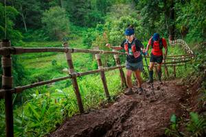 BIB: 
                            <button type="button" onclick="openModal(13483006)" class="btn btn-primary btn-sm float-right btn-popup" data-toggle="modal" data-target=".modal-high-quality">
                        <i class="fas fa-shopping-cart"></i> Add to Cart
                    </button>
                                            <button type="button" onclick="isThisMe(13483006, true)" class="btn btn-success btn-sm float-right btn-popup btn-isme hidden" data-toggle="tooltip" data-placement="bottom" title="นี่คือรูปของคุณใช่ไหม คลิกที่นี่เพื่อเอาเข้าอัลบั้ม">
                        <i class="fas fa-plus"></i> Add to album
                    </button>
                    <button type="button" onclick="isThisMe(13483006, false)" class="btn btn-warning btn-sm float-right btn-popup btn-isnotme hidden">
                        <i class="fas fa-ban"></i> Remove from album
                    </button>