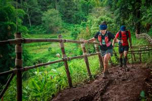 BIB: 
                            <button type="button" onclick="openModal(13483009)" class="btn btn-primary btn-sm float-right btn-popup" data-toggle="modal" data-target=".modal-high-quality">
                        <i class="fas fa-shopping-cart"></i> Add to Cart
                    </button>
                                            <button type="button" onclick="isThisMe(13483009, true)" class="btn btn-success btn-sm float-right btn-popup btn-isme hidden" data-toggle="tooltip" data-placement="bottom" title="นี่คือรูปของคุณใช่ไหม คลิกที่นี่เพื่อเอาเข้าอัลบั้ม">
                        <i class="fas fa-plus"></i> Add to album
                    </button>
                    <button type="button" onclick="isThisMe(13483009, false)" class="btn btn-warning btn-sm float-right btn-popup btn-isnotme hidden">
                        <i class="fas fa-ban"></i> Remove from album
                    </button>