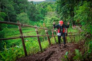 BIB: 
                            <button type="button" onclick="openModal(13482999)" class="btn btn-primary btn-sm float-right btn-popup" data-toggle="modal" data-target=".modal-high-quality">
                        <i class="fas fa-shopping-cart"></i> Add to Cart
                    </button>
                                            <button type="button" onclick="isThisMe(13482999, true)" class="btn btn-success btn-sm float-right btn-popup btn-isme hidden" data-toggle="tooltip" data-placement="bottom" title="นี่คือรูปของคุณใช่ไหม คลิกที่นี่เพื่อเอาเข้าอัลบั้ม">
                        <i class="fas fa-plus"></i> Add to album
                    </button>
                    <button type="button" onclick="isThisMe(13482999, false)" class="btn btn-warning btn-sm float-right btn-popup btn-isnotme hidden">
                        <i class="fas fa-ban"></i> Remove from album
                    </button>