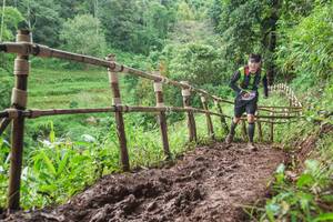 BIB: 
                            <button type="button" onclick="openModal(13428083)" class="btn btn-primary btn-sm float-right btn-popup" data-toggle="modal" data-target=".modal-high-quality">
                        <i class="fas fa-shopping-cart"></i> Add to Cart
                    </button>
                                            <button type="button" onclick="isThisMe(13428083, true)" class="btn btn-success btn-sm float-right btn-popup btn-isme hidden" data-toggle="tooltip" data-placement="bottom" title="นี่คือรูปของคุณใช่ไหม คลิกที่นี่เพื่อเอาเข้าอัลบั้ม">
                        <i class="fas fa-plus"></i> Add to album
                    </button>
                    <button type="button" onclick="isThisMe(13428083, false)" class="btn btn-warning btn-sm float-right btn-popup btn-isnotme hidden">
                        <i class="fas fa-ban"></i> Remove from album
                    </button>