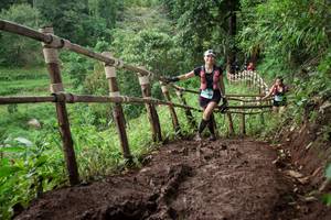 BIB: 
                            <button type="button" onclick="openModal(13450648)" class="btn btn-primary btn-sm float-right btn-popup" data-toggle="modal" data-target=".modal-high-quality">
                        <i class="fas fa-shopping-cart"></i> Add to Cart
                    </button>
                                            <button type="button" onclick="isThisMe(13450648, true)" class="btn btn-success btn-sm float-right btn-popup btn-isme hidden" data-toggle="tooltip" data-placement="bottom" title="นี่คือรูปของคุณใช่ไหม คลิกที่นี่เพื่อเอาเข้าอัลบั้ม">
                        <i class="fas fa-plus"></i> Add to album
                    </button>
                    <button type="button" onclick="isThisMe(13450648, false)" class="btn btn-warning btn-sm float-right btn-popup btn-isnotme hidden">
                        <i class="fas fa-ban"></i> Remove from album
                    </button>