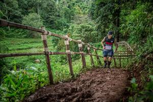 BIB: 
                            <button type="button" onclick="openModal(13426004)" class="btn btn-primary btn-sm float-right btn-popup" data-toggle="modal" data-target=".modal-high-quality">
                        <i class="fas fa-shopping-cart"></i> Add to Cart
                    </button>
                                            <button type="button" onclick="isThisMe(13426004, true)" class="btn btn-success btn-sm float-right btn-popup btn-isme hidden" data-toggle="tooltip" data-placement="bottom" title="นี่คือรูปของคุณใช่ไหม คลิกที่นี่เพื่อเอาเข้าอัลบั้ม">
                        <i class="fas fa-plus"></i> Add to album
                    </button>
                    <button type="button" onclick="isThisMe(13426004, false)" class="btn btn-warning btn-sm float-right btn-popup btn-isnotme hidden">
                        <i class="fas fa-ban"></i> Remove from album
                    </button>