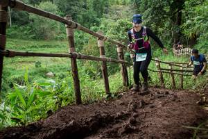 BIB: 
                            <button type="button" onclick="openModal(13442540)" class="btn btn-primary btn-sm float-right btn-popup" data-toggle="modal" data-target=".modal-high-quality">
                        <i class="fas fa-shopping-cart"></i> Add to Cart
                    </button>
                                            <button type="button" onclick="isThisMe(13442540, true)" class="btn btn-success btn-sm float-right btn-popup btn-isme hidden" data-toggle="tooltip" data-placement="bottom" title="นี่คือรูปของคุณใช่ไหม คลิกที่นี่เพื่อเอาเข้าอัลบั้ม">
                        <i class="fas fa-plus"></i> Add to album
                    </button>
                    <button type="button" onclick="isThisMe(13442540, false)" class="btn btn-warning btn-sm float-right btn-popup btn-isnotme hidden">
                        <i class="fas fa-ban"></i> Remove from album
                    </button>