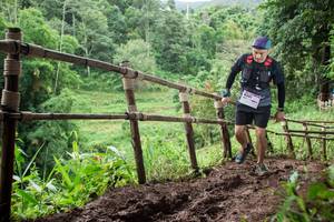 BIB: 8301
                            <button type="button" onclick="openModal(13431025)" class="btn btn-primary btn-sm float-right btn-popup" data-toggle="modal" data-target=".modal-high-quality">
                        <i class="fas fa-shopping-cart"></i> Add to Cart
                    </button>
                                            <button type="button" onclick="isThisMe(13431025, true)" class="btn btn-success btn-sm float-right btn-popup btn-isme hidden" data-toggle="tooltip" data-placement="bottom" title="นี่คือรูปของคุณใช่ไหม คลิกที่นี่เพื่อเอาเข้าอัลบั้ม">
                        <i class="fas fa-plus"></i> Add to album
                    </button>
                    <button type="button" onclick="isThisMe(13431025, false)" class="btn btn-warning btn-sm float-right btn-popup btn-isnotme hidden">
                        <i class="fas fa-ban"></i> Remove from album
                    </button>