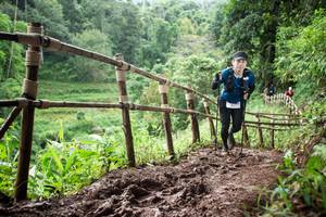 BIB: 
                            <button type="button" onclick="openModal(13428461)" class="btn btn-primary btn-sm float-right btn-popup" data-toggle="modal" data-target=".modal-high-quality">
                        <i class="fas fa-shopping-cart"></i> Add to Cart
                    </button>
                                            <button type="button" onclick="isThisMe(13428461, true)" class="btn btn-success btn-sm float-right btn-popup btn-isme hidden" data-toggle="tooltip" data-placement="bottom" title="นี่คือรูปของคุณใช่ไหม คลิกที่นี่เพื่อเอาเข้าอัลบั้ม">
                        <i class="fas fa-plus"></i> Add to album
                    </button>
                    <button type="button" onclick="isThisMe(13428461, false)" class="btn btn-warning btn-sm float-right btn-popup btn-isnotme hidden">
                        <i class="fas fa-ban"></i> Remove from album
                    </button>