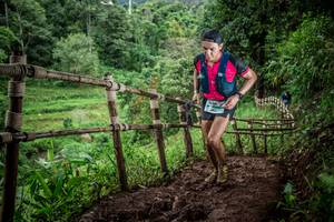 BIB: 1396
                            <button type="button" onclick="openModal(13425751)" class="btn btn-primary btn-sm float-right btn-popup" data-toggle="modal" data-target=".modal-high-quality">
                        <i class="fas fa-shopping-cart"></i> Add to Cart
                    </button>
                                            <button type="button" onclick="isThisMe(13425751, true)" class="btn btn-success btn-sm float-right btn-popup btn-isme hidden" data-toggle="tooltip" data-placement="bottom" title="นี่คือรูปของคุณใช่ไหม คลิกที่นี่เพื่อเอาเข้าอัลบั้ม">
                        <i class="fas fa-plus"></i> Add to album
                    </button>
                    <button type="button" onclick="isThisMe(13425751, false)" class="btn btn-warning btn-sm float-right btn-popup btn-isnotme hidden">
                        <i class="fas fa-ban"></i> Remove from album
                    </button>