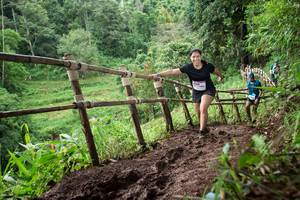 BIB: 
                            <button type="button" onclick="openModal(13430291)" class="btn btn-primary btn-sm float-right btn-popup" data-toggle="modal" data-target=".modal-high-quality">
                        <i class="fas fa-shopping-cart"></i> Add to Cart
                    </button>
                                            <button type="button" onclick="isThisMe(13430291, true)" class="btn btn-success btn-sm float-right btn-popup btn-isme hidden" data-toggle="tooltip" data-placement="bottom" title="นี่คือรูปของคุณใช่ไหม คลิกที่นี่เพื่อเอาเข้าอัลบั้ม">
                        <i class="fas fa-plus"></i> Add to album
                    </button>
                    <button type="button" onclick="isThisMe(13430291, false)" class="btn btn-warning btn-sm float-right btn-popup btn-isnotme hidden">
                        <i class="fas fa-ban"></i> Remove from album
                    </button>