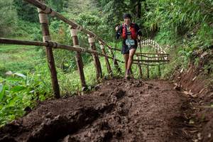 BIB: 
                            <button type="button" onclick="openModal(13440069)" class="btn btn-primary btn-sm float-right btn-popup" data-toggle="modal" data-target=".modal-high-quality">
                        <i class="fas fa-shopping-cart"></i> Add to Cart
                    </button>
                                            <button type="button" onclick="isThisMe(13440069, true)" class="btn btn-success btn-sm float-right btn-popup btn-isme hidden" data-toggle="tooltip" data-placement="bottom" title="นี่คือรูปของคุณใช่ไหม คลิกที่นี่เพื่อเอาเข้าอัลบั้ม">
                        <i class="fas fa-plus"></i> Add to album
                    </button>
                    <button type="button" onclick="isThisMe(13440069, false)" class="btn btn-warning btn-sm float-right btn-popup btn-isnotme hidden">
                        <i class="fas fa-ban"></i> Remove from album
                    </button>