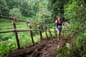 BIB: 
                            <button type="button" onclick="openModal(13429986)" class="btn btn-primary btn-sm float-right btn-popup" data-toggle="modal" data-target=".modal-high-quality">
                        <i class="fas fa-shopping-cart"></i> Add to Cart
                    </button>
                                            <button type="button" onclick="isThisMe(13429986, true)" class="btn btn-success btn-sm float-right btn-popup btn-isme hidden" data-toggle="tooltip" data-placement="bottom" title="นี่คือรูปของคุณใช่ไหม คลิกที่นี่เพื่อเอาเข้าอัลบั้ม">
                        <i class="fas fa-plus"></i> Add to album
                    </button>
                    <button type="button" onclick="isThisMe(13429986, false)" class="btn btn-warning btn-sm float-right btn-popup btn-isnotme hidden">
                        <i class="fas fa-ban"></i> Remove from album
                    </button>