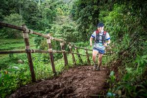 BIB: 
                            <button type="button" onclick="openModal(13425935)" class="btn btn-primary btn-sm float-right btn-popup" data-toggle="modal" data-target=".modal-high-quality">
                        <i class="fas fa-shopping-cart"></i> Add to Cart
                    </button>
                                            <button type="button" onclick="isThisMe(13425935, true)" class="btn btn-success btn-sm float-right btn-popup btn-isme hidden" data-toggle="tooltip" data-placement="bottom" title="นี่คือรูปของคุณใช่ไหม คลิกที่นี่เพื่อเอาเข้าอัลบั้ม">
                        <i class="fas fa-plus"></i> Add to album
                    </button>
                    <button type="button" onclick="isThisMe(13425935, false)" class="btn btn-warning btn-sm float-right btn-popup btn-isnotme hidden">
                        <i class="fas fa-ban"></i> Remove from album
                    </button>