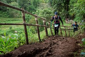 BIB: 
                            <button type="button" onclick="openModal(13442494)" class="btn btn-primary btn-sm float-right btn-popup" data-toggle="modal" data-target=".modal-high-quality">
                        <i class="fas fa-shopping-cart"></i> Add to Cart
                    </button>
                                            <button type="button" onclick="isThisMe(13442494, true)" class="btn btn-success btn-sm float-right btn-popup btn-isme hidden" data-toggle="tooltip" data-placement="bottom" title="นี่คือรูปของคุณใช่ไหม คลิกที่นี่เพื่อเอาเข้าอัลบั้ม">
                        <i class="fas fa-plus"></i> Add to album
                    </button>
                    <button type="button" onclick="isThisMe(13442494, false)" class="btn btn-warning btn-sm float-right btn-popup btn-isnotme hidden">
                        <i class="fas fa-ban"></i> Remove from album
                    </button>