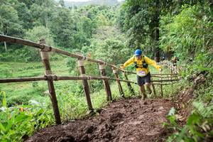 BIB: 
                            <button type="button" onclick="openModal(13432263)" class="btn btn-primary btn-sm float-right btn-popup" data-toggle="modal" data-target=".modal-high-quality">
                        <i class="fas fa-shopping-cart"></i> Add to Cart
                    </button>
                                            <button type="button" onclick="isThisMe(13432263, true)" class="btn btn-success btn-sm float-right btn-popup btn-isme hidden" data-toggle="tooltip" data-placement="bottom" title="นี่คือรูปของคุณใช่ไหม คลิกที่นี่เพื่อเอาเข้าอัลบั้ม">
                        <i class="fas fa-plus"></i> Add to album
                    </button>
                    <button type="button" onclick="isThisMe(13432263, false)" class="btn btn-warning btn-sm float-right btn-popup btn-isnotme hidden">
                        <i class="fas fa-ban"></i> Remove from album
                    </button>