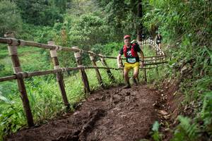 BIB: 
                            <button type="button" onclick="openModal(13450659)" class="btn btn-primary btn-sm float-right btn-popup" data-toggle="modal" data-target=".modal-high-quality">
                        <i class="fas fa-shopping-cart"></i> Add to Cart
                    </button>
                                            <button type="button" onclick="isThisMe(13450659, true)" class="btn btn-success btn-sm float-right btn-popup btn-isme hidden" data-toggle="tooltip" data-placement="bottom" title="นี่คือรูปของคุณใช่ไหม คลิกที่นี่เพื่อเอาเข้าอัลบั้ม">
                        <i class="fas fa-plus"></i> Add to album
                    </button>
                    <button type="button" onclick="isThisMe(13450659, false)" class="btn btn-warning btn-sm float-right btn-popup btn-isnotme hidden">
                        <i class="fas fa-ban"></i> Remove from album
                    </button>