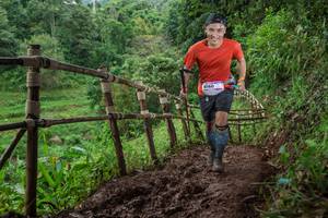 BIB: 8160
                            <button type="button" onclick="openModal(13426520)" class="btn btn-primary btn-sm float-right btn-popup" data-toggle="modal" data-target=".modal-high-quality">
                        <i class="fas fa-shopping-cart"></i> Add to Cart
                    </button>
                                            <button type="button" onclick="isThisMe(13426520, true)" class="btn btn-success btn-sm float-right btn-popup btn-isme hidden" data-toggle="tooltip" data-placement="bottom" title="นี่คือรูปของคุณใช่ไหม คลิกที่นี่เพื่อเอาเข้าอัลบั้ม">
                        <i class="fas fa-plus"></i> Add to album
                    </button>
                    <button type="button" onclick="isThisMe(13426520, false)" class="btn btn-warning btn-sm float-right btn-popup btn-isnotme hidden">
                        <i class="fas fa-ban"></i> Remove from album
                    </button>