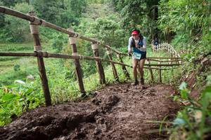 BIB: 
                            <button type="button" onclick="openModal(13433599)" class="btn btn-primary btn-sm float-right btn-popup" data-toggle="modal" data-target=".modal-high-quality">
                        <i class="fas fa-shopping-cart"></i> Add to Cart
                    </button>
                                            <button type="button" onclick="isThisMe(13433599, true)" class="btn btn-success btn-sm float-right btn-popup btn-isme hidden" data-toggle="tooltip" data-placement="bottom" title="นี่คือรูปของคุณใช่ไหม คลิกที่นี่เพื่อเอาเข้าอัลบั้ม">
                        <i class="fas fa-plus"></i> Add to album
                    </button>
                    <button type="button" onclick="isThisMe(13433599, false)" class="btn btn-warning btn-sm float-right btn-popup btn-isnotme hidden">
                        <i class="fas fa-ban"></i> Remove from album
                    </button>