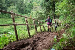 BIB: 
                            <button type="button" onclick="openModal(13430549)" class="btn btn-primary btn-sm float-right btn-popup" data-toggle="modal" data-target=".modal-high-quality">
                        <i class="fas fa-shopping-cart"></i> Add to Cart
                    </button>
                                            <button type="button" onclick="isThisMe(13430549, true)" class="btn btn-success btn-sm float-right btn-popup btn-isme hidden" data-toggle="tooltip" data-placement="bottom" title="นี่คือรูปของคุณใช่ไหม คลิกที่นี่เพื่อเอาเข้าอัลบั้ม">
                        <i class="fas fa-plus"></i> Add to album
                    </button>
                    <button type="button" onclick="isThisMe(13430549, false)" class="btn btn-warning btn-sm float-right btn-popup btn-isnotme hidden">
                        <i class="fas fa-ban"></i> Remove from album
                    </button>