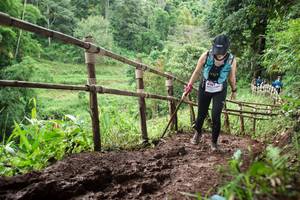 BIB: 8147
                            <button type="button" onclick="openModal(13431505)" class="btn btn-primary btn-sm float-right btn-popup" data-toggle="modal" data-target=".modal-high-quality">
                        <i class="fas fa-shopping-cart"></i> Add to Cart
                    </button>
                                            <button type="button" onclick="isThisMe(13431505, true)" class="btn btn-success btn-sm float-right btn-popup btn-isme hidden" data-toggle="tooltip" data-placement="bottom" title="นี่คือรูปของคุณใช่ไหม คลิกที่นี่เพื่อเอาเข้าอัลบั้ม">
                        <i class="fas fa-plus"></i> Add to album
                    </button>
                    <button type="button" onclick="isThisMe(13431505, false)" class="btn btn-warning btn-sm float-right btn-popup btn-isnotme hidden">
                        <i class="fas fa-ban"></i> Remove from album
                    </button>