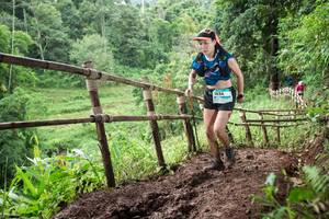 BIB: 1634
                            <button type="button" onclick="openModal(13431395)" class="btn btn-primary btn-sm float-right btn-popup" data-toggle="modal" data-target=".modal-high-quality">
                        <i class="fas fa-shopping-cart"></i> Add to Cart
                    </button>
                                            <button type="button" onclick="isThisMe(13431395, true)" class="btn btn-success btn-sm float-right btn-popup btn-isme hidden" data-toggle="tooltip" data-placement="bottom" title="นี่คือรูปของคุณใช่ไหม คลิกที่นี่เพื่อเอาเข้าอัลบั้ม">
                        <i class="fas fa-plus"></i> Add to album
                    </button>
                    <button type="button" onclick="isThisMe(13431395, false)" class="btn btn-warning btn-sm float-right btn-popup btn-isnotme hidden">
                        <i class="fas fa-ban"></i> Remove from album
                    </button>