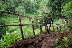 BIB: 
                            <button type="button" onclick="openModal(13429977)" class="btn btn-primary btn-sm float-right btn-popup" data-toggle="modal" data-target=".modal-high-quality">
                        <i class="fas fa-shopping-cart"></i> Add to Cart
                    </button>
                                            <button type="button" onclick="isThisMe(13429977, true)" class="btn btn-success btn-sm float-right btn-popup btn-isme hidden" data-toggle="tooltip" data-placement="bottom" title="นี่คือรูปของคุณใช่ไหม คลิกที่นี่เพื่อเอาเข้าอัลบั้ม">
                        <i class="fas fa-plus"></i> Add to album
                    </button>
                    <button type="button" onclick="isThisMe(13429977, false)" class="btn btn-warning btn-sm float-right btn-popup btn-isnotme hidden">
                        <i class="fas fa-ban"></i> Remove from album
                    </button>