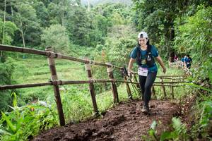 BIB: 
                            <button type="button" onclick="openModal(13431236)" class="btn btn-primary btn-sm float-right btn-popup" data-toggle="modal" data-target=".modal-high-quality">
                        <i class="fas fa-shopping-cart"></i> Add to Cart
                    </button>
                                            <button type="button" onclick="isThisMe(13431236, true)" class="btn btn-success btn-sm float-right btn-popup btn-isme hidden" data-toggle="tooltip" data-placement="bottom" title="นี่คือรูปของคุณใช่ไหม คลิกที่นี่เพื่อเอาเข้าอัลบั้ม">
                        <i class="fas fa-plus"></i> Add to album
                    </button>
                    <button type="button" onclick="isThisMe(13431236, false)" class="btn btn-warning btn-sm float-right btn-popup btn-isnotme hidden">
                        <i class="fas fa-ban"></i> Remove from album
                    </button>