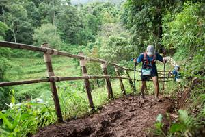 BIB: 
                            <button type="button" onclick="openModal(13430589)" class="btn btn-primary btn-sm float-right btn-popup" data-toggle="modal" data-target=".modal-high-quality">
                        <i class="fas fa-shopping-cart"></i> Add to Cart
                    </button>
                                            <button type="button" onclick="isThisMe(13430589, true)" class="btn btn-success btn-sm float-right btn-popup btn-isme hidden" data-toggle="tooltip" data-placement="bottom" title="นี่คือรูปของคุณใช่ไหม คลิกที่นี่เพื่อเอาเข้าอัลบั้ม">
                        <i class="fas fa-plus"></i> Add to album
                    </button>
                    <button type="button" onclick="isThisMe(13430589, false)" class="btn btn-warning btn-sm float-right btn-popup btn-isnotme hidden">
                        <i class="fas fa-ban"></i> Remove from album
                    </button>